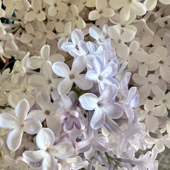 😍See something you must have? - Picture 4 of 16